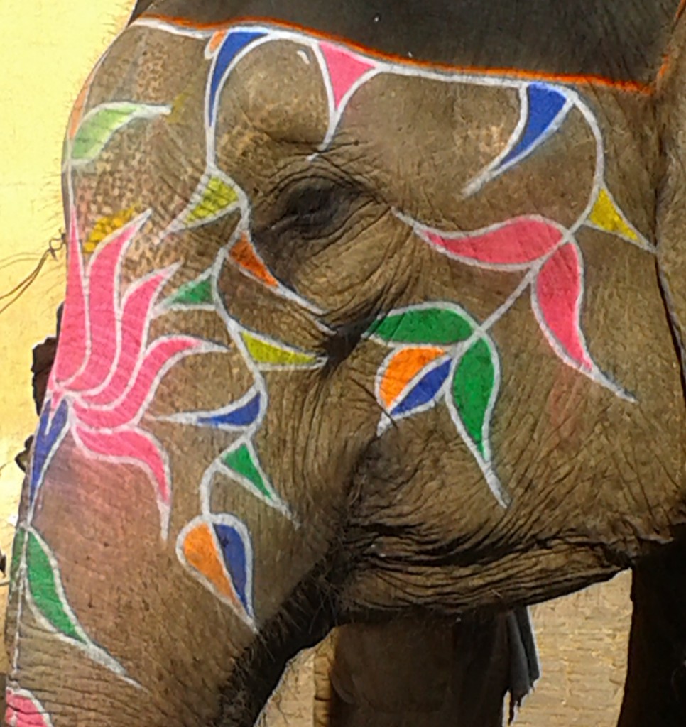 Painted elephant at amber fort nr Jaidpur