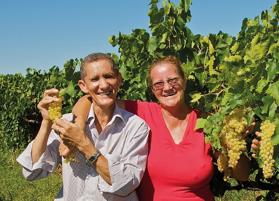 Raisin Farmers