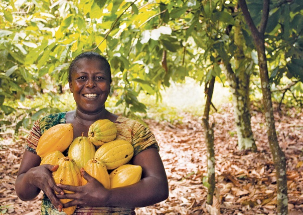 Ghana Kuapa