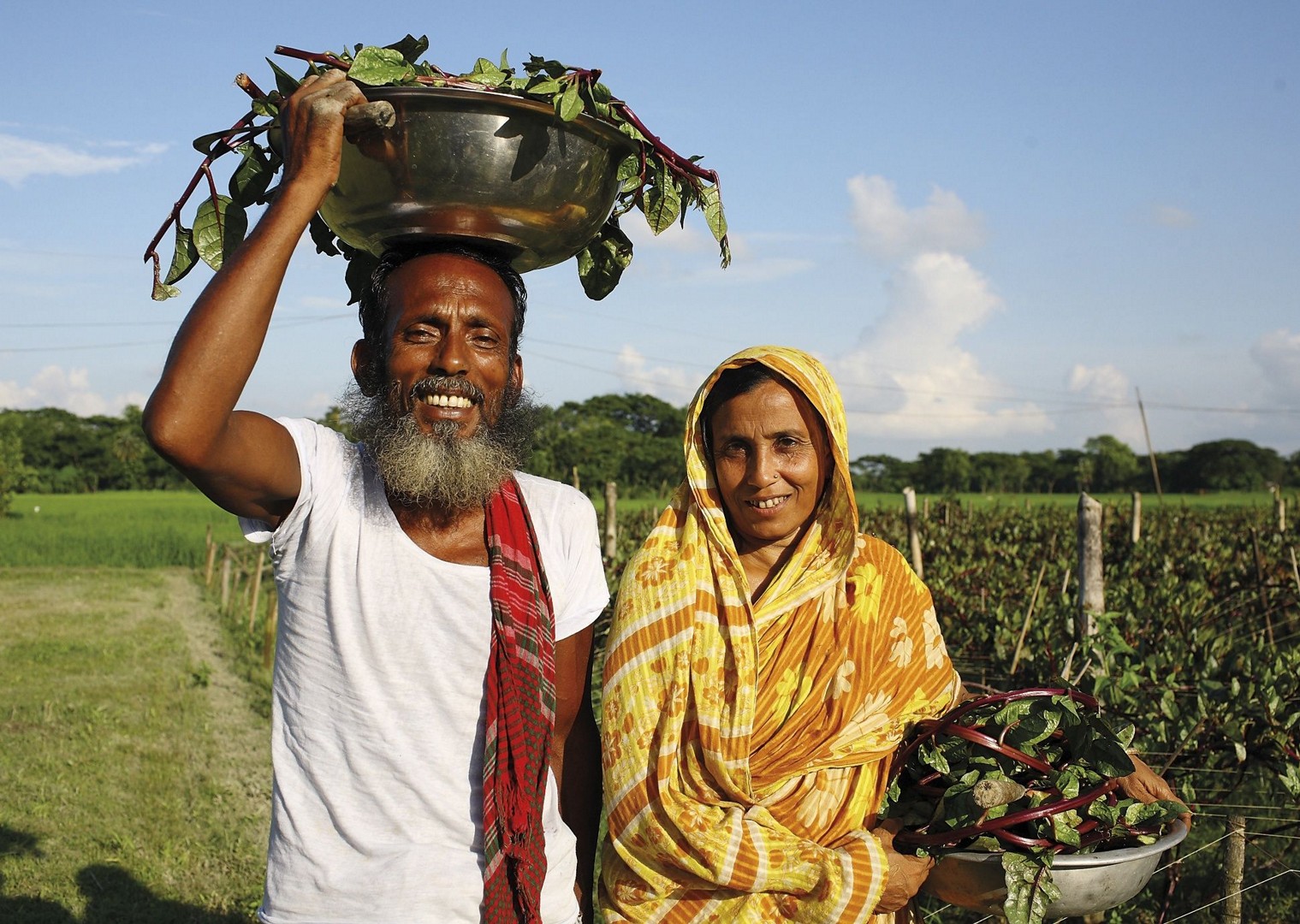 Harvesting spinach.jpg - Bangladesh - Meet the People Tours