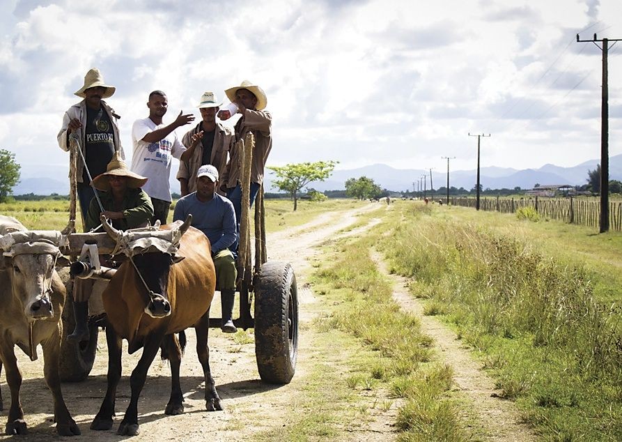 Local Farming.jpg - Cuba - Meet the People Tours