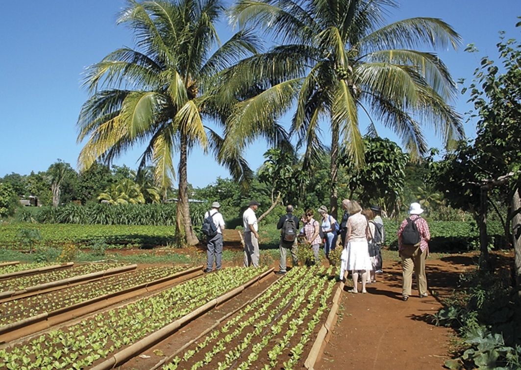 Organic Farm, Havana.jpg - Cuba - Meet the People Tours