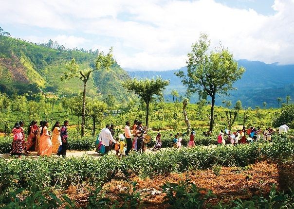 Stunning Sri Lanka Image