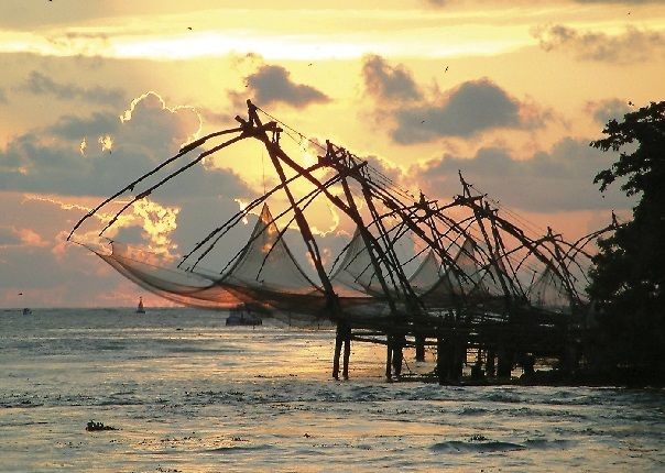 Chinese fishing.jpg - Southern India - Meet the People Tours