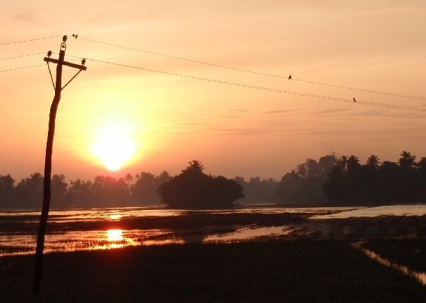 Backwaters Sunset.jpg - Southern India - Meet the People Tours