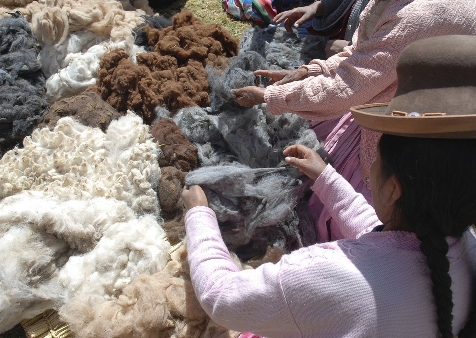 Sorting alpaca fibre.jpg - Peru - Meet the People Tours