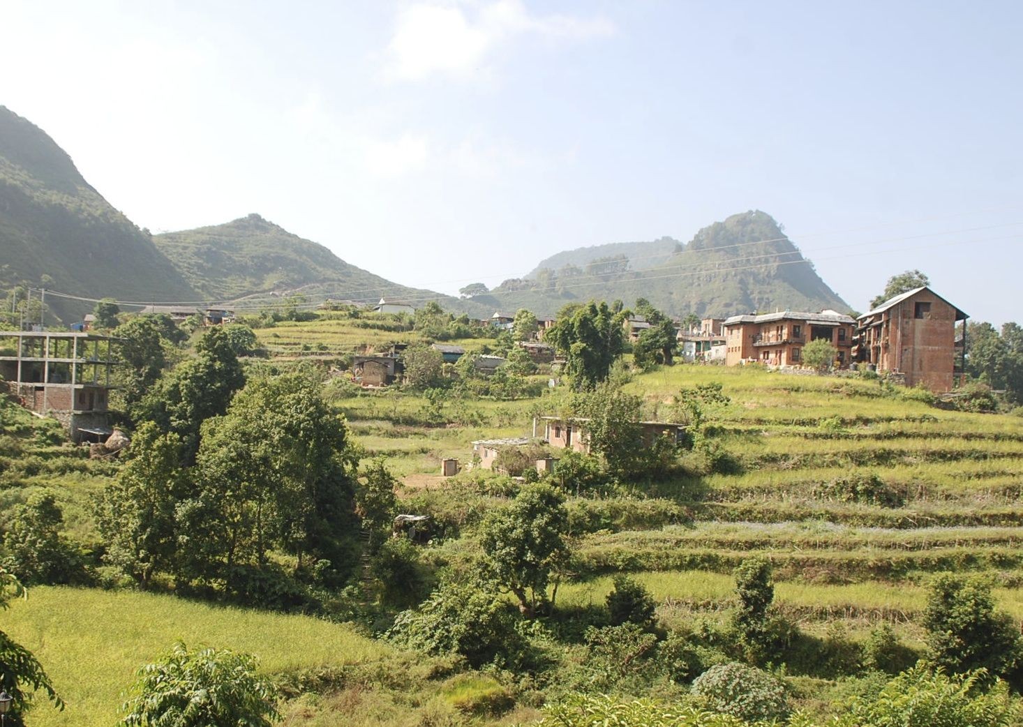 Rice Fields.jpg - Nepal - Meet the People Tours