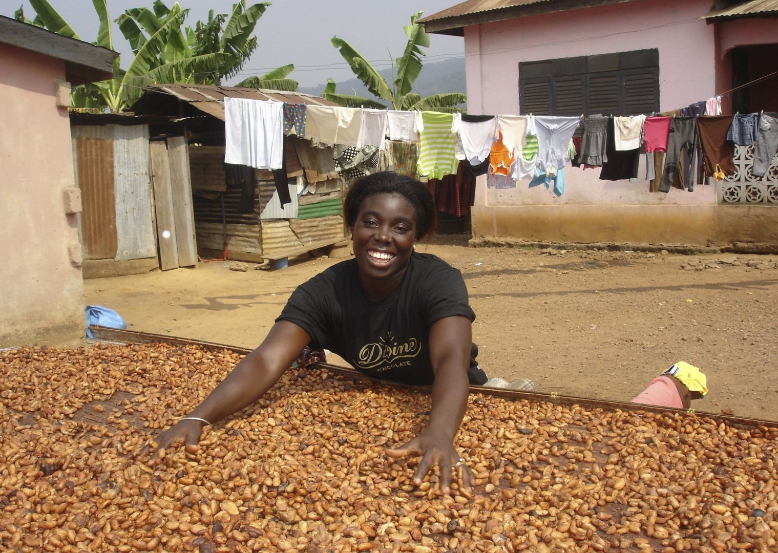 Cocoa Beans - Ghana - Meet the People Tours