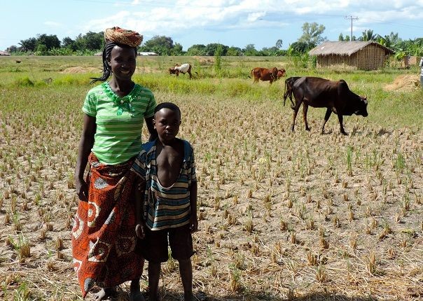 Karonga Rice - Malawi - Meet the People Tours