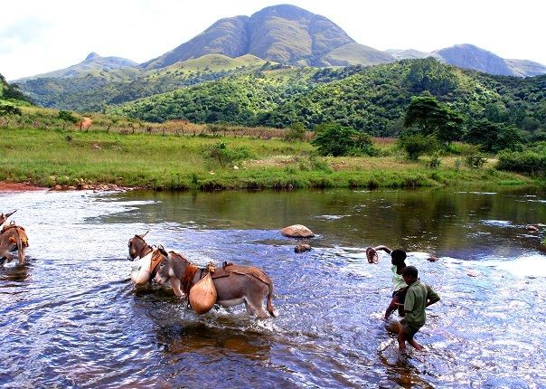 Swazi River - Eswatini (Swaziland) - Meet the People Tours