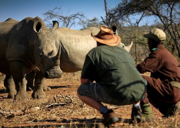 Mkhaya Rhino - Eswatini (Swaziland) - Meet the People Tours