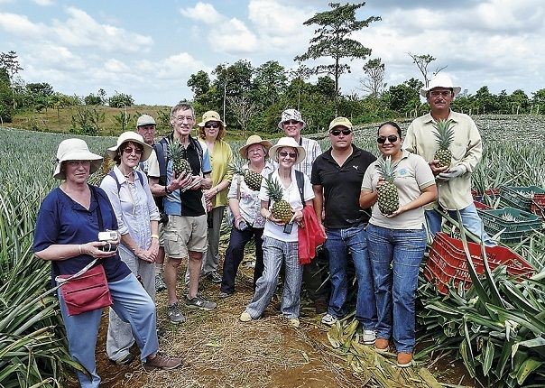 Fairtrade Pineapples - Costa Rica - Meet the People Tours