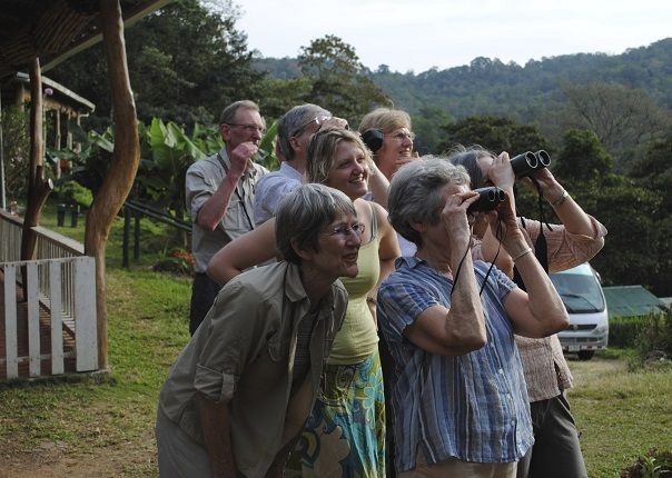 Spotting Wildlife - Costa Rica - Meet the People Tours